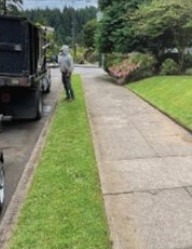 Yard Maintenance & Tree Service