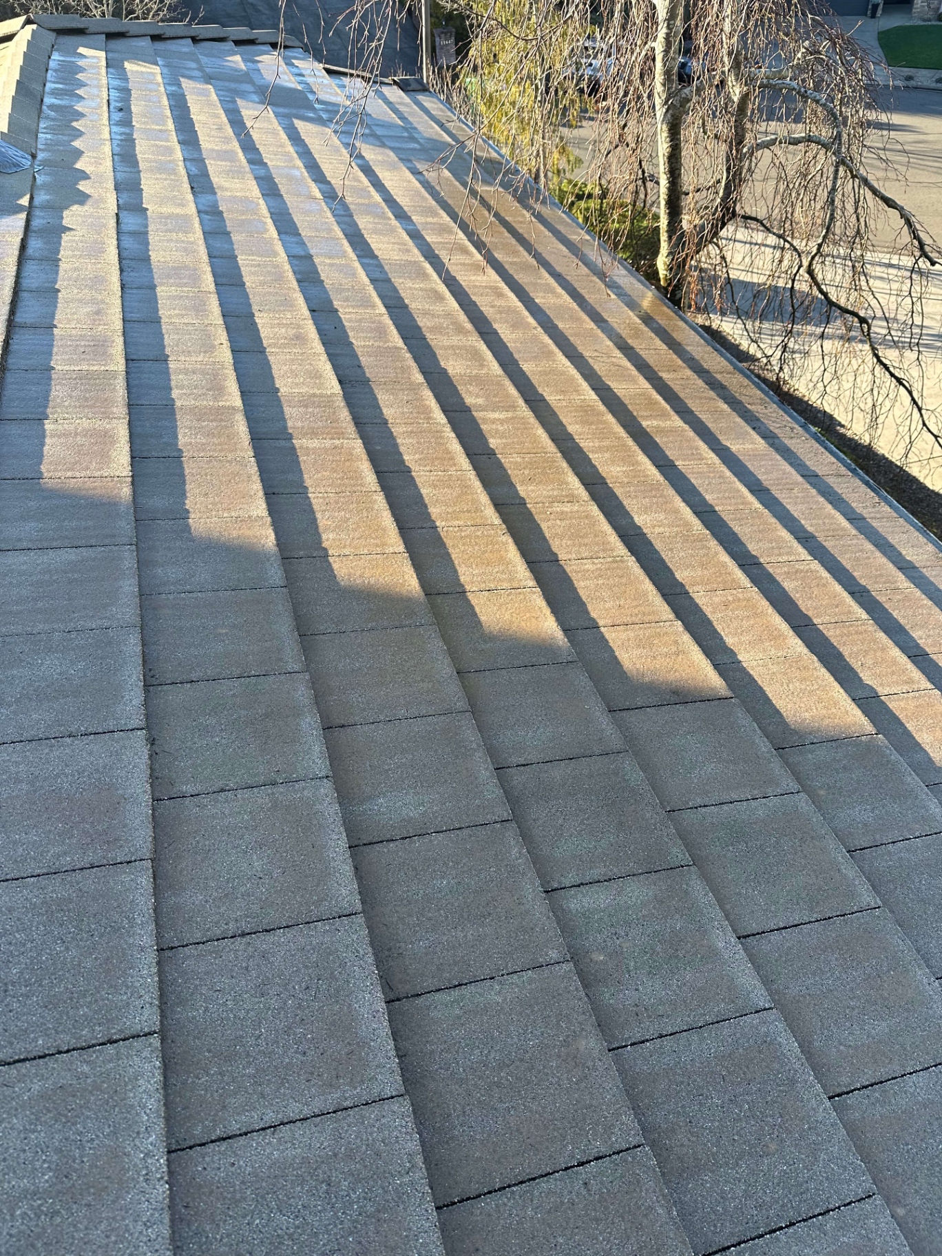 Pressure Washing & Roof Cleaning